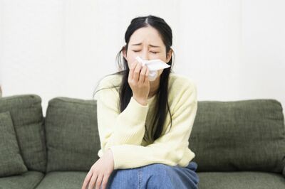 花粉症状を和らげる鼻炎薬、眠くなりにくい上手な「飲み方」と「選び方」をアレルギー内科専門医が伝授！