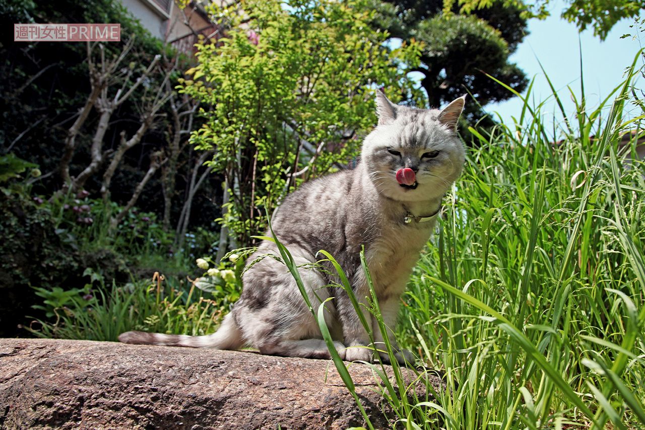 撮影／朝井まかてさん