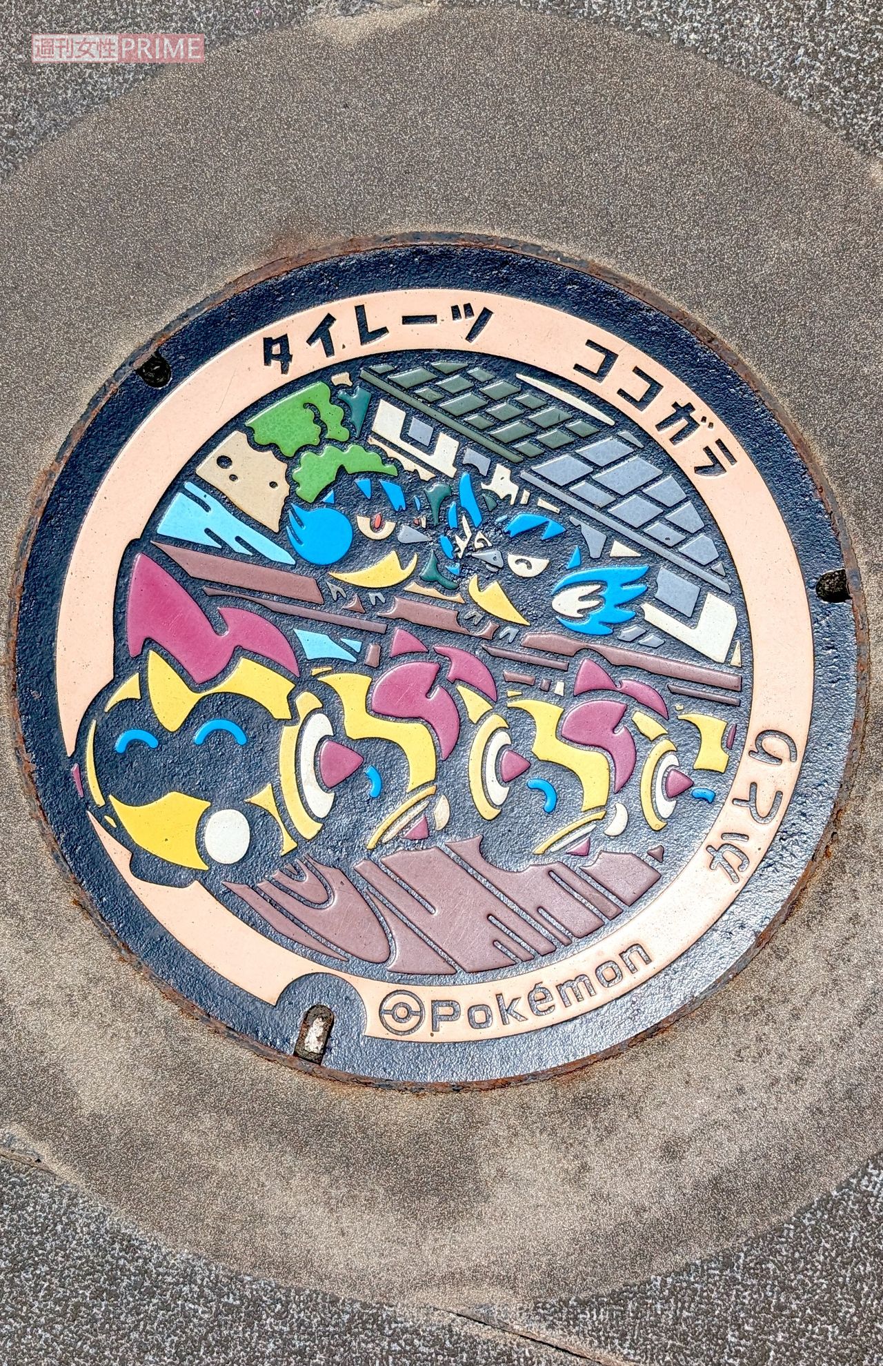千葉県香取市のポケふた　撮影／編集部