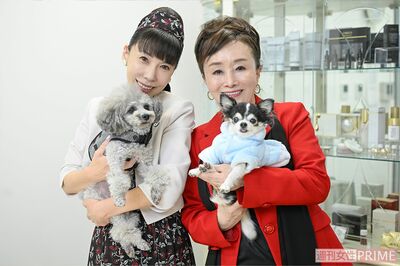 愛犬家のおふたり。勝見さんの愛犬・パールちゃんは15歳、西出さんの愛犬・KOOちゃんは11歳。動物愛護活動など、ワンちゃんたちの話題でもお話が弾みました（撮影／渡邉智裕）