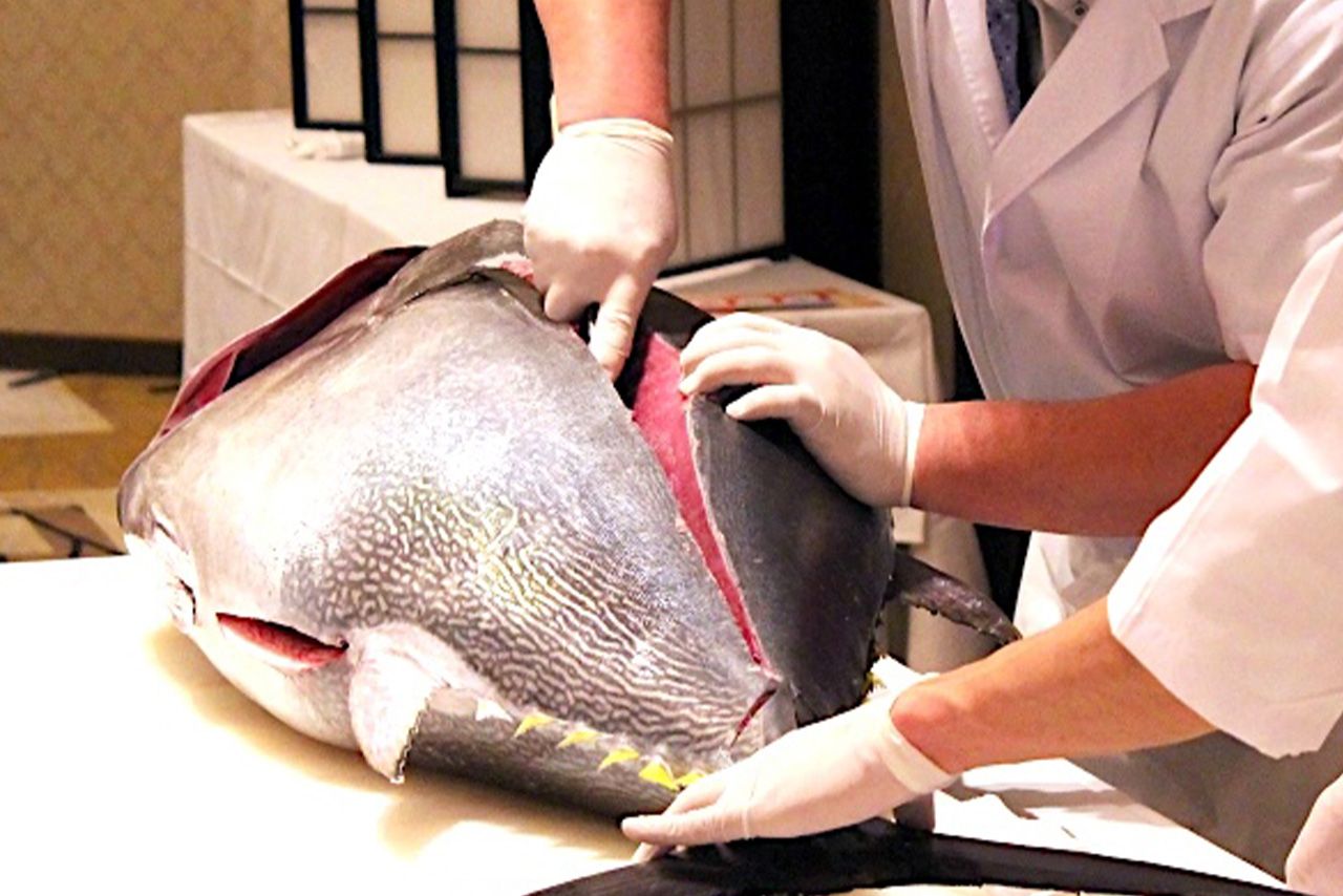 写真はイメージです