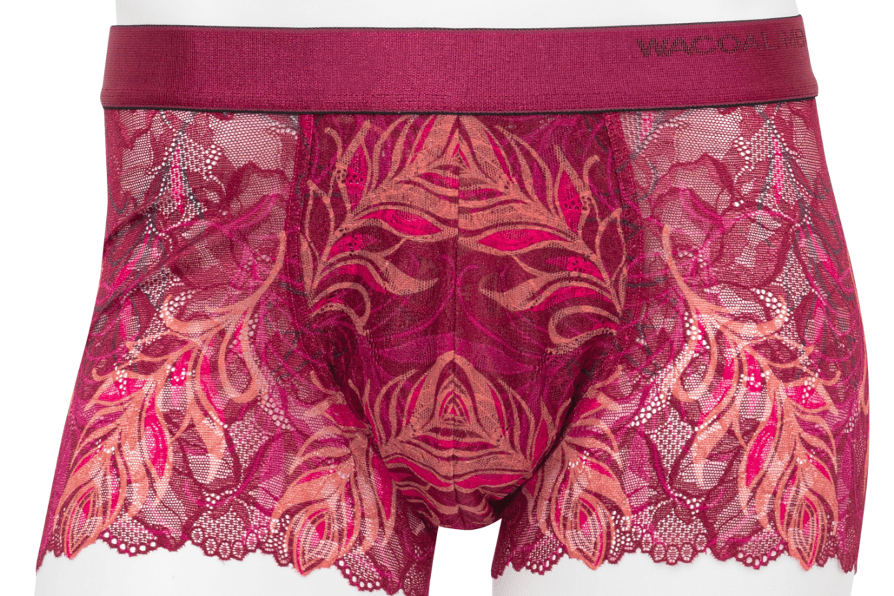 『レースボクサー』世界に飛び立つイメージで羽をデザインされた