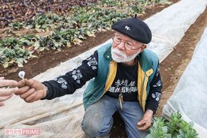 イタリアのそら豆、ファーベの花を「ホラ!食べてみて」　撮影／齋藤周造