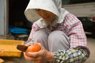 【おばあちゃんの知恵袋50】物価高騰でも食費は下げられる！先人に学ぶ節約生活「使いきる」「長持ちさせる…