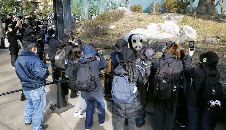観覧時間1分の制限があるにもかかわらず、パンダ返還発表翌日に多くの人が押し寄せた（共同通信社）