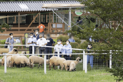 “世界一かわいいヒツジ”といわれるヴァレーブラックノーズシープにえさやりされるご一家