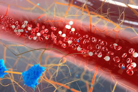 毛細血管のイメージ図