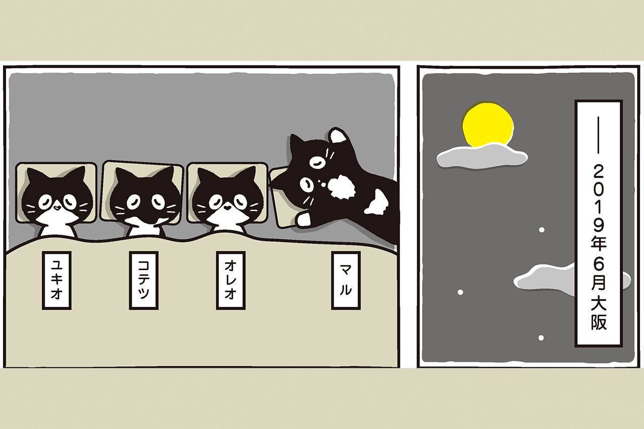 コミックエッセイ『マルとオレオ　ふたりはなかよし』より