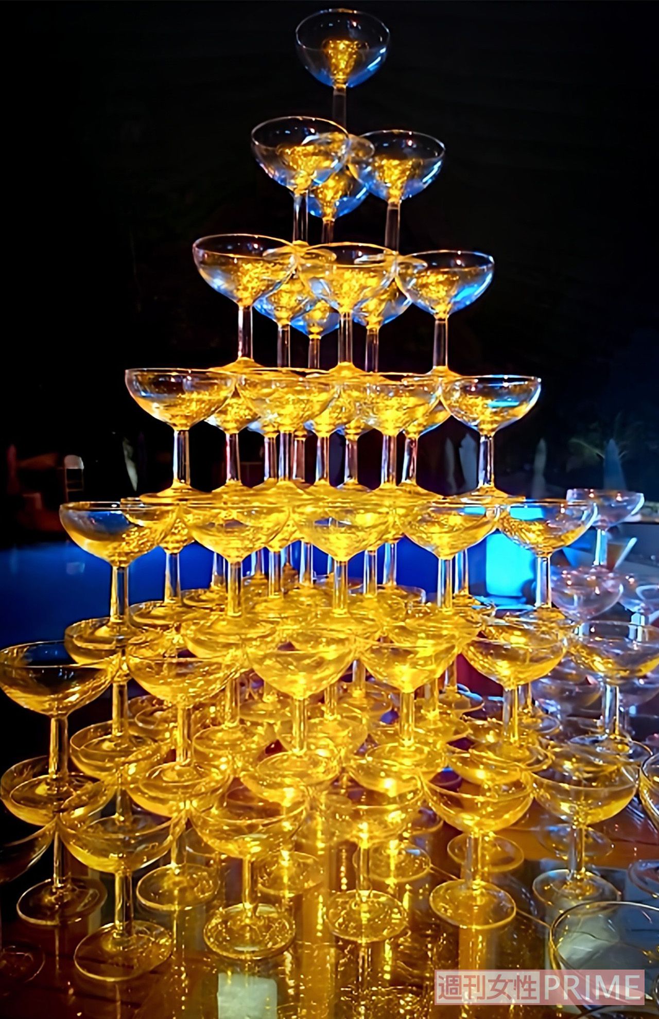 写真提供／城咲仁さん