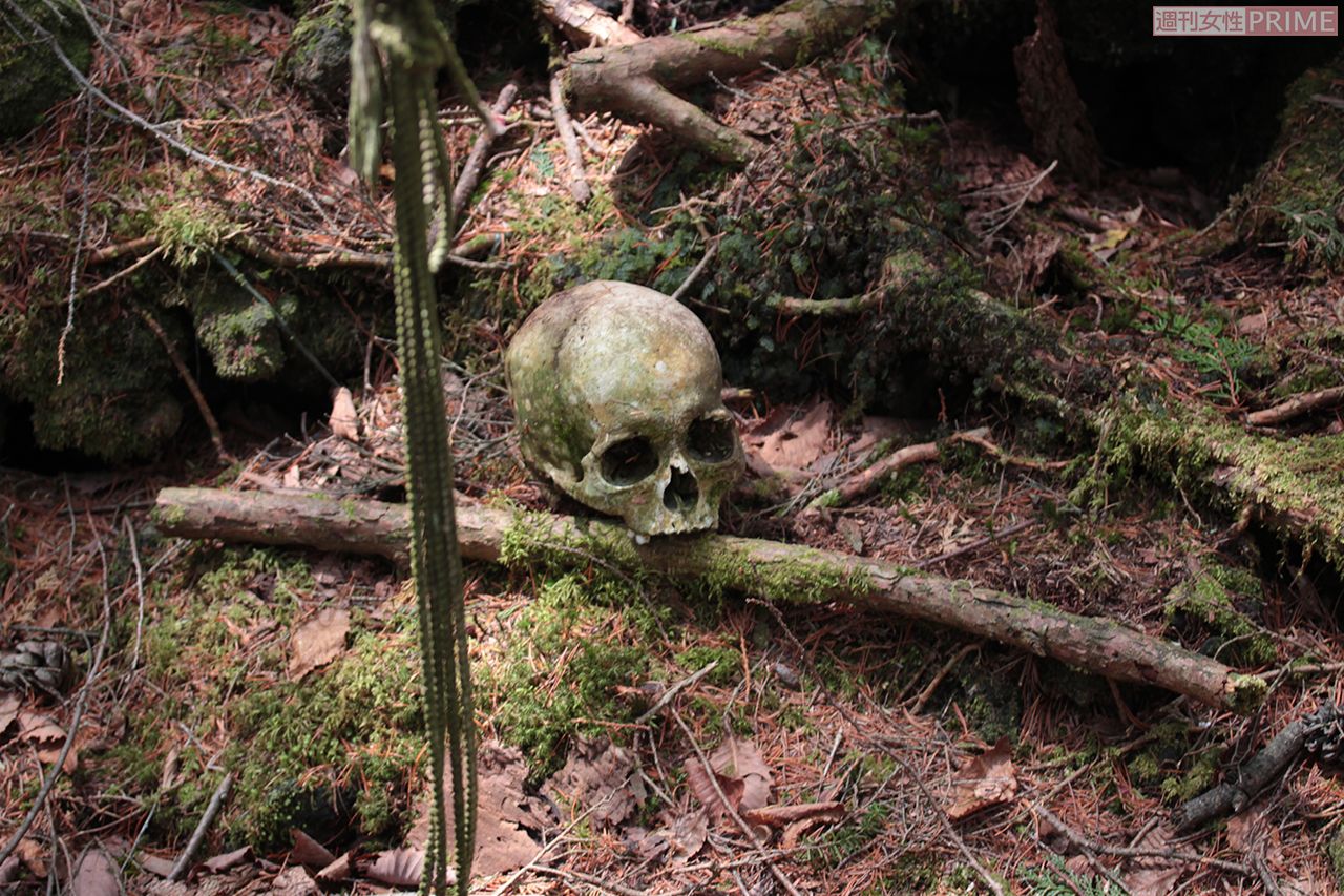 樹海内には自殺者の遺体が白骨化した状態で発見されることが多い
