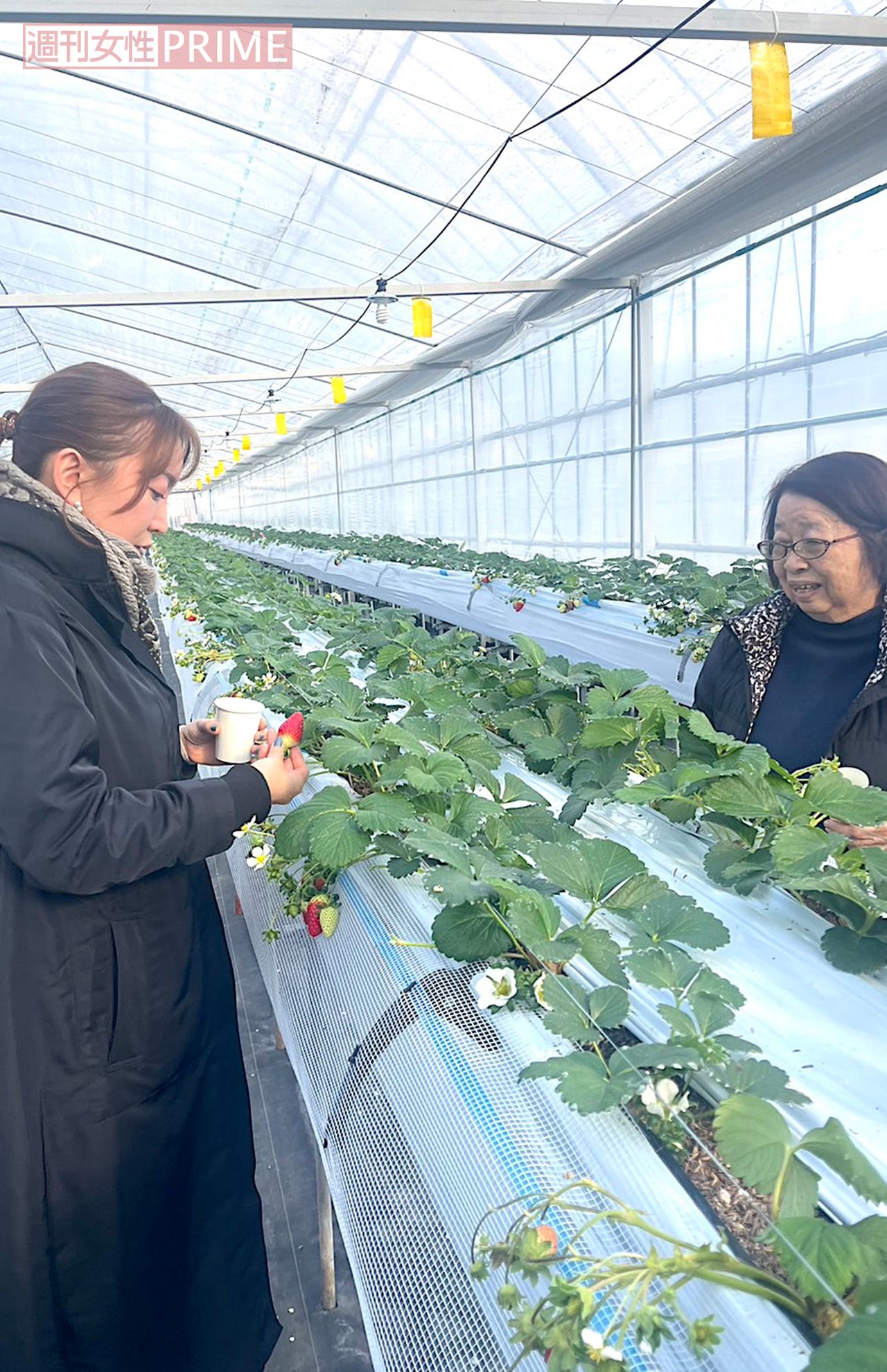 宝探しみたいで楽しかった～