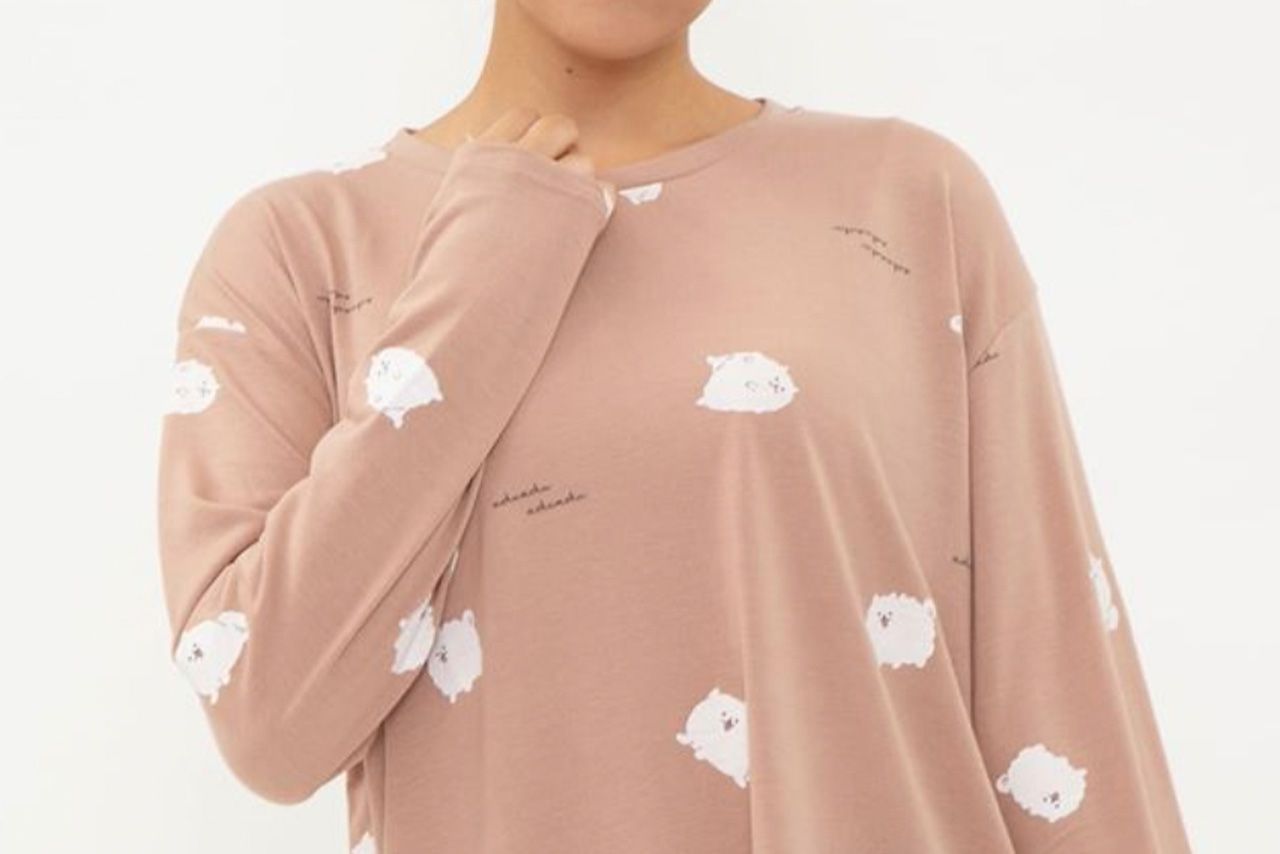 盗用疑惑がかけられた“ポメラニアン柄”のロングTシャツ（『チュチュアンナ』公式SNSより）