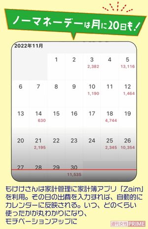 家計簿アプリ「Zaim」を使って家計管理をしているもけけさん。ノーマネーデーは月に20日も。