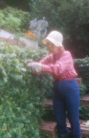 ジムに行くなどあえて特別な取り組みは一切せずに庭に出て作業をするなど､自然に身体を動かすことを心がける中村さん