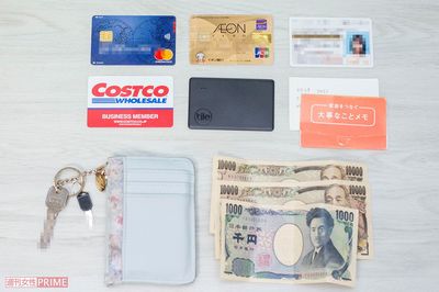 雑誌の付録をお財布として使用。現金は非常時用の2万円とキャッシュレスで支払いができないとき用の千円のみ。クレジットカード2枚とコストコのカード、非常事態用の連絡先一覧のメモなどを常時入れる。