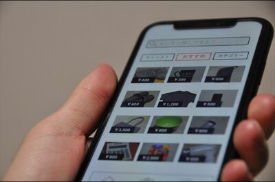 100円ショップのアイテムを“450円”で出品！ 主婦「転売ヤー」の危うい手口とリアルな儲け額