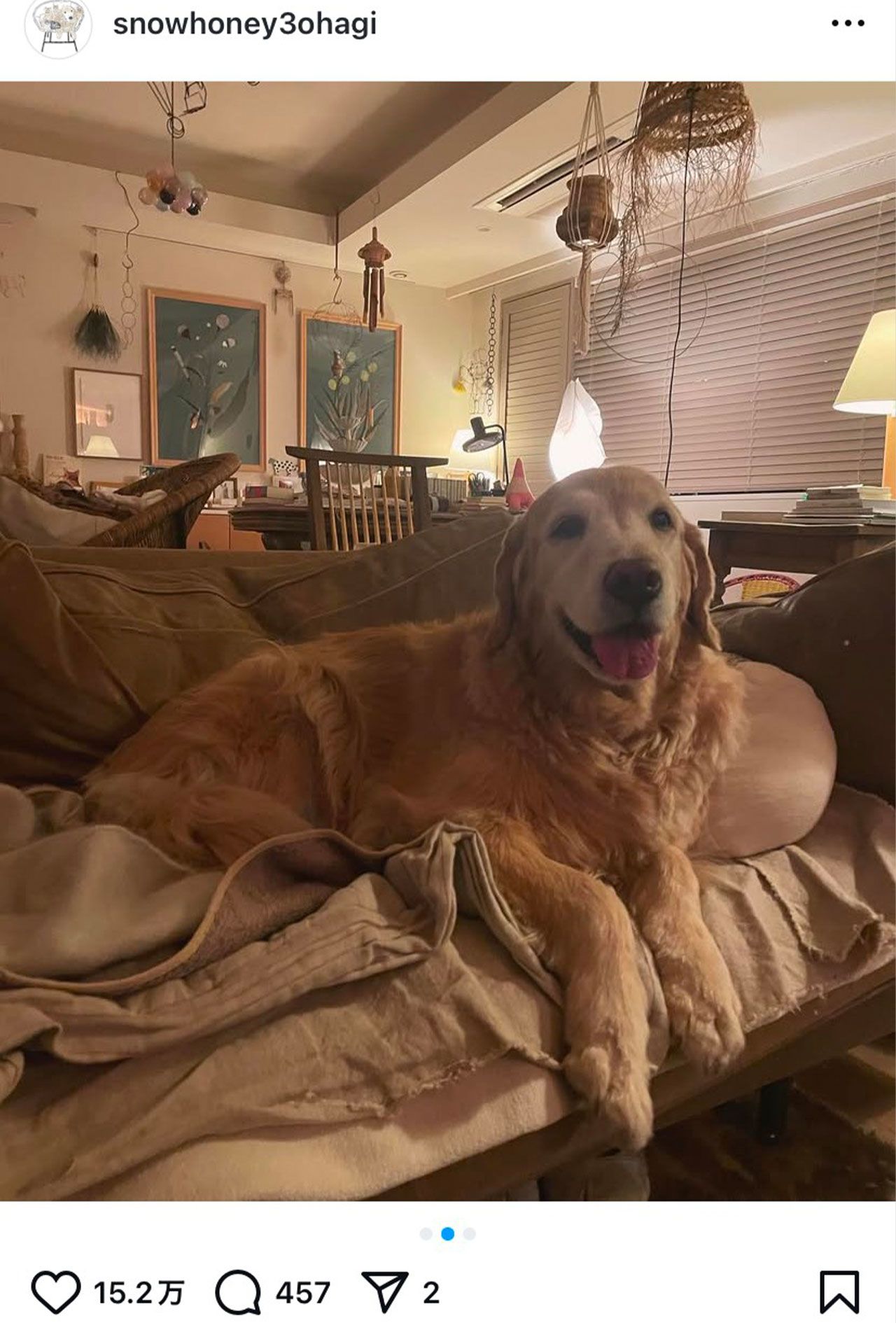 物が散らかっている自宅の様子を伝える石田ゆり子の投稿（本人のインスタグラムより）