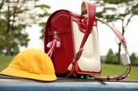 文科省 “置き勉”容認も「重いランドセル」改善されず、不要論に「購入・使用は各学校の判断」の見解