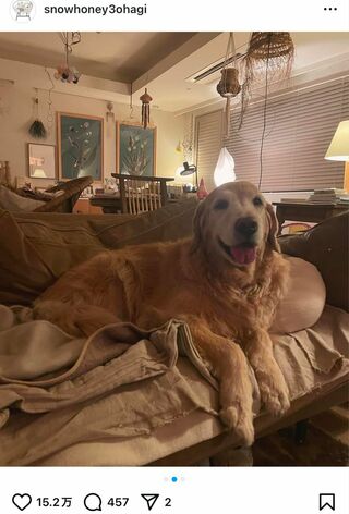 物が散らかっている自宅の様子を伝える石田ゆり子の投稿（本人のインスタグラムより）