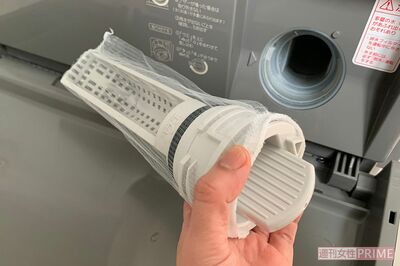 洗濯機のフィルターに