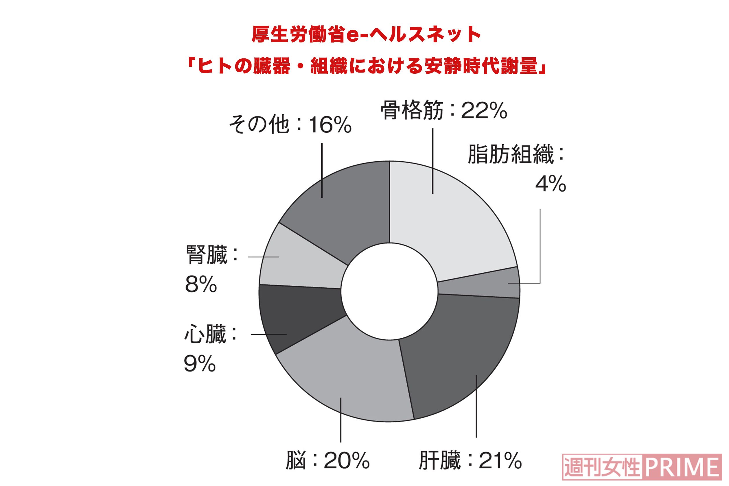 厚生労働省e-ヘルスネット  「ヒトの臓器・組織における安静時代謝量」