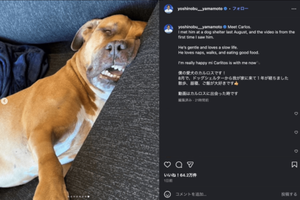 世界がベタ惚れしているドジャース・山本由伸の愛犬カルロス（公式インスラグラムより）