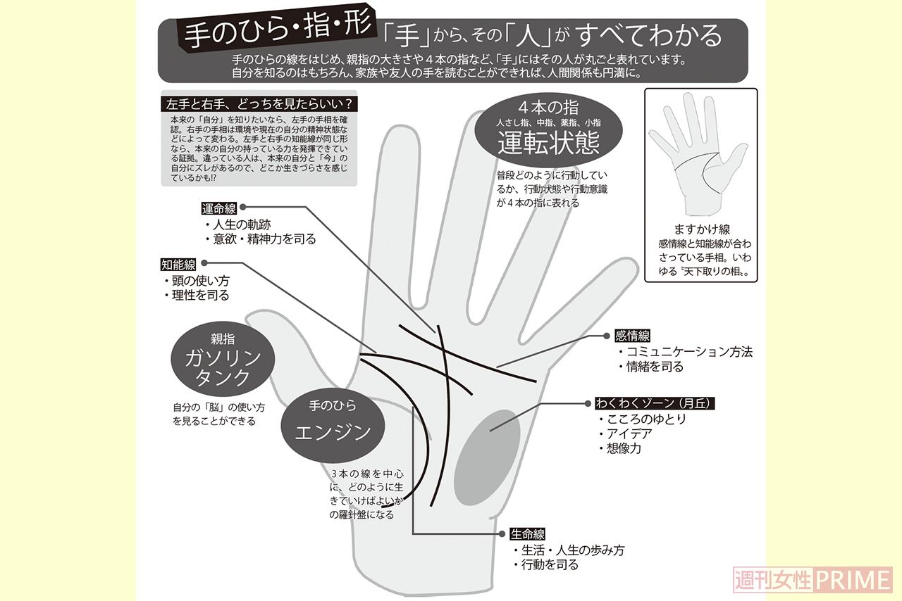 「手」から、その「人」がすべてわかる