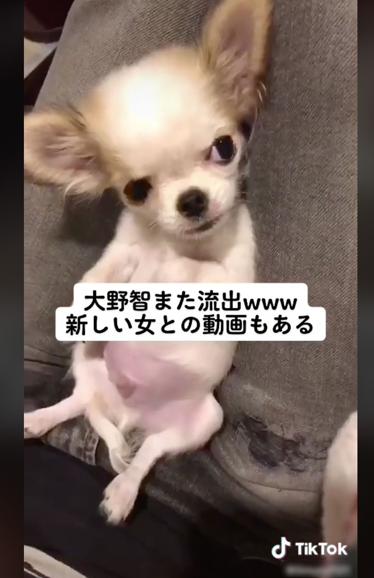 「TikTok」に投稿された、流出したと思われる大野智の動画1/4