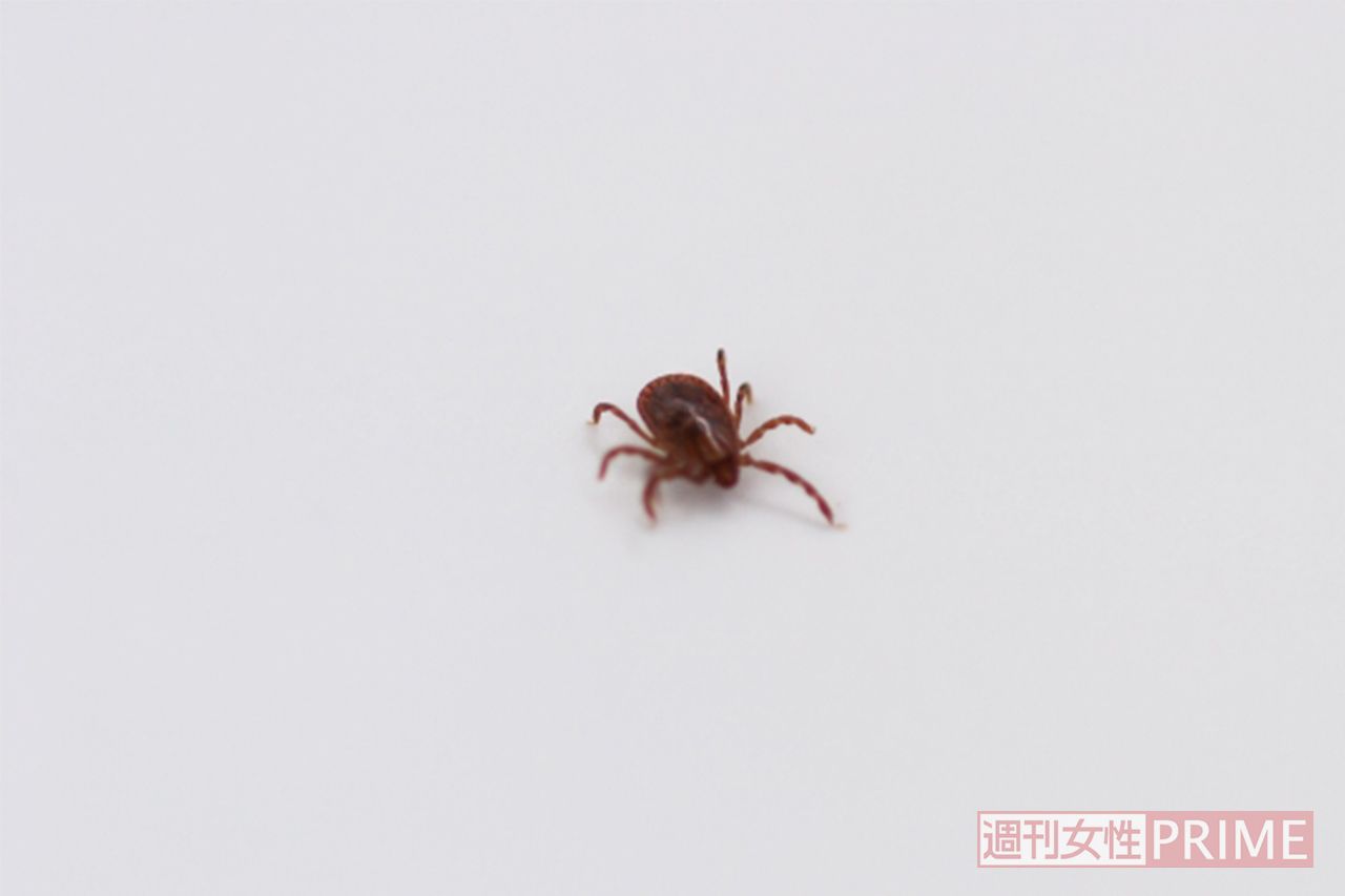 ※写真はイメージです