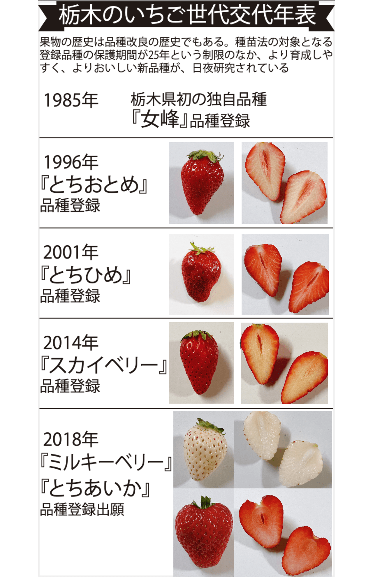 栃木のいちご世代交代表