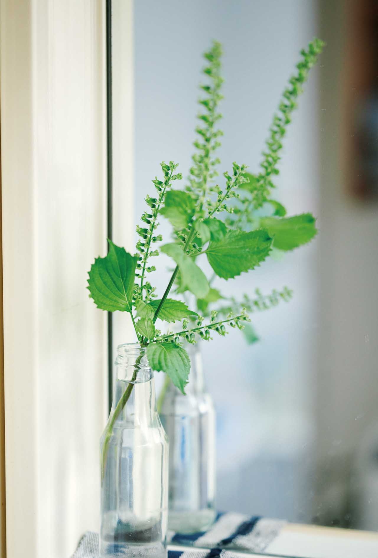 玄関や床の間、洗面所などに庭の季節の草花をひと挿し。使い終えた調味料やジャムの空き瓶も、花瓶として大活躍