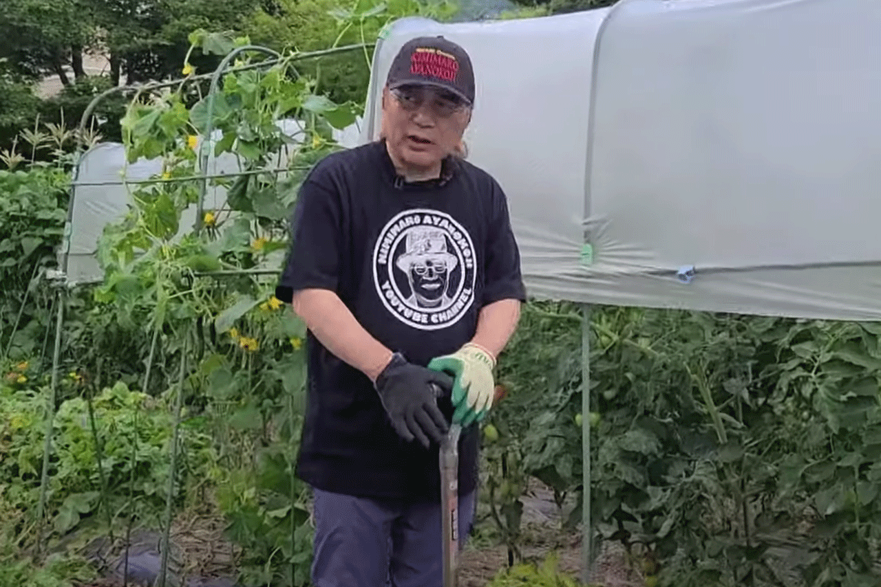 250坪ある「きみまろポンポコ農園」で農作業に勤しむ日々。苗を買いに行き、トラクターも運転する