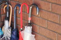 梅雨の時期に誰もが悩む傘問題「降水確率50％」で傘は持っていく？ 数学的に出た納得の解答