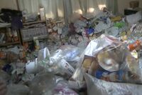 《都心で急増する隠れゴミ屋敷》激ヤバの室内に“なりがちな職種”とは?40代女性看護師、1LDKでゴミ袋300…