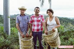 '92年キューバ視察。農園の生産者と護（左）