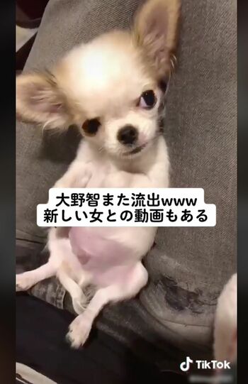 「TikTok」に投稿された、流出したと思われる大野智の動画1/4