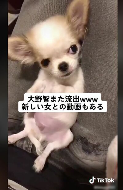 「TikTok」に投稿された、流出したと思われる大野智の動画1/4