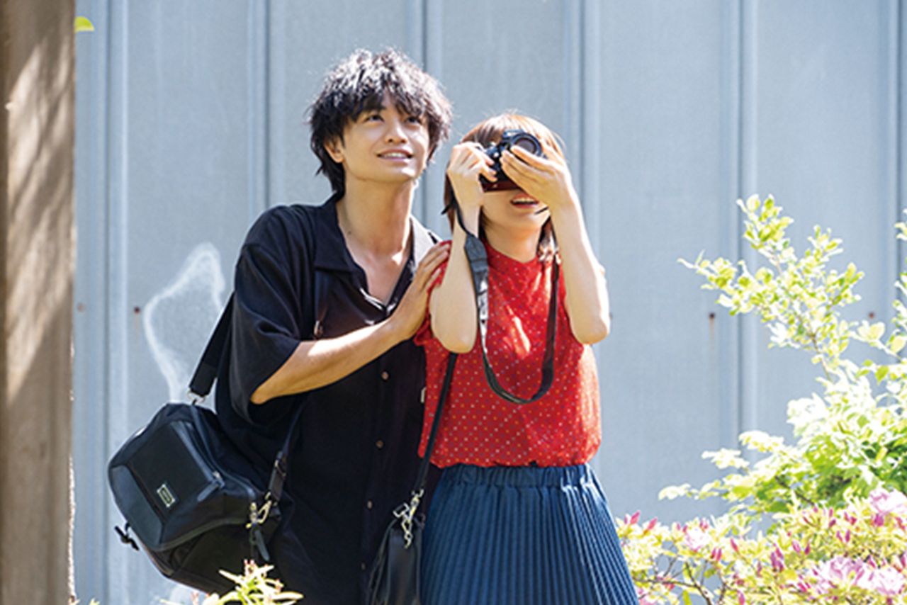 Netflix映画 『桜のような僕の恋人』