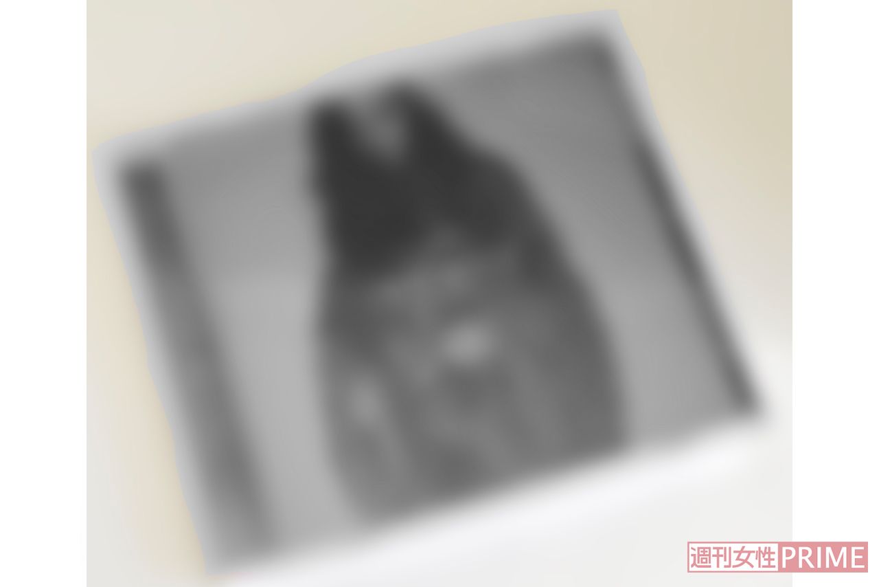 羽生結弦の妻・A子さんがリリースしたアルバムには、クラシック以外の楽曲も収録。新たなジャンルに積極的に挑戦した