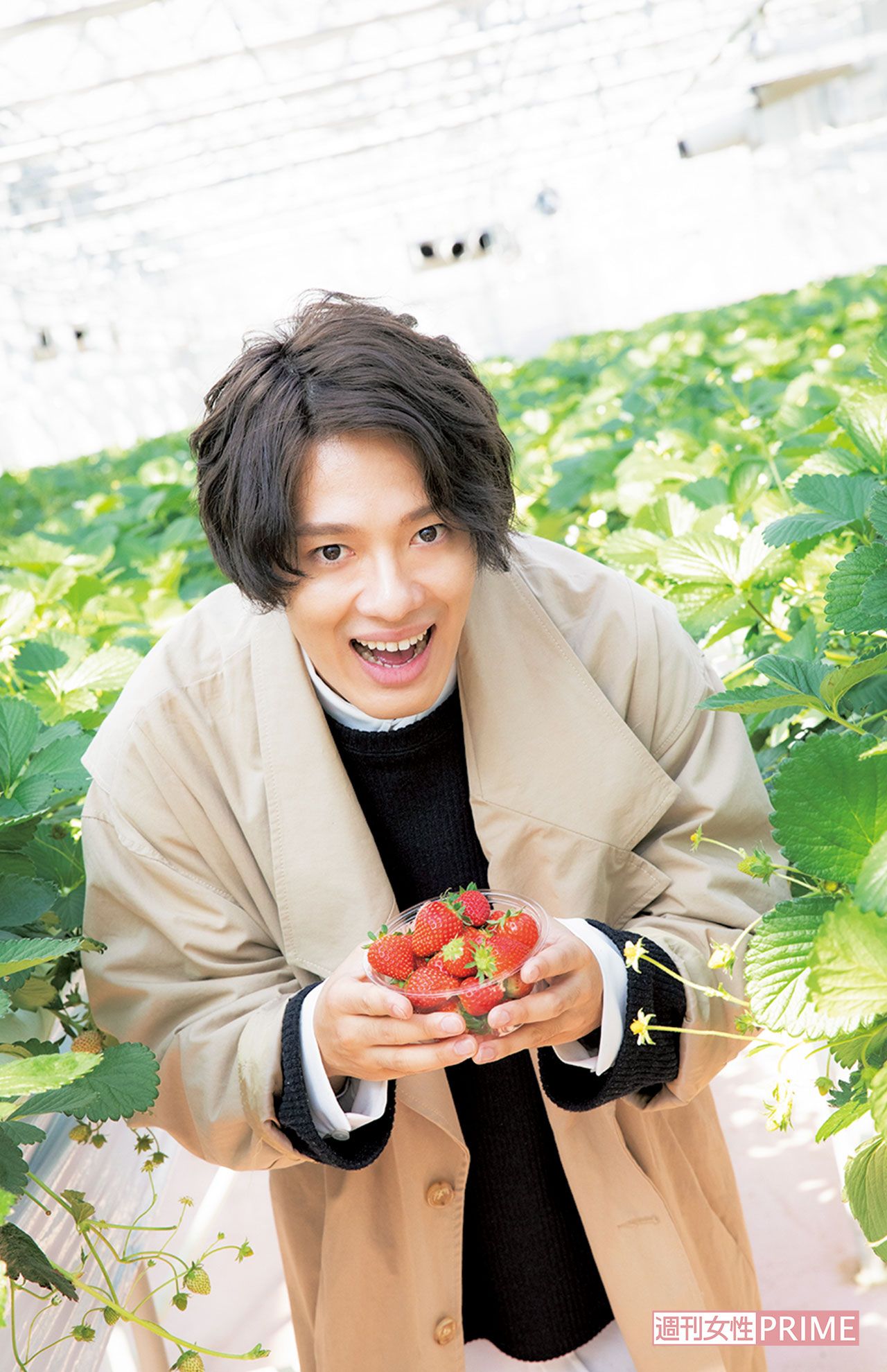 第13回  いちご狩り（12月24日号）　撮影／矢島泰輔