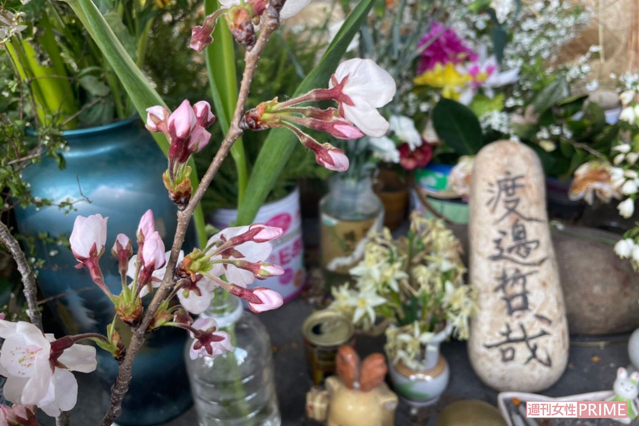 渡邉さんとアイさんが暮らしていた河渡橋西詰の下に置かれた献花台　撮影／小関千恵