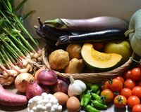 年齢とともに増加する悪玉菌、改善のカギは食生活にあり