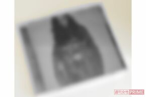 羽生結弦の妻・A子さんがリリースしたアルバムには、クラシック以外の楽曲も収録。新たなジャンルに積極的に挑戦した