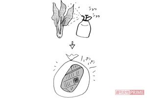 【ほうれん草・小松菜】新聞紙&ビニールで包み息をひと吹き　イラスト/やのひろこ