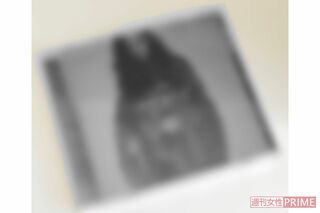 羽生結弦の妻・A子さんがリリースしたアルバムには、クラシック以外の楽曲も収録。新たなジャンルに積極的に挑戦した