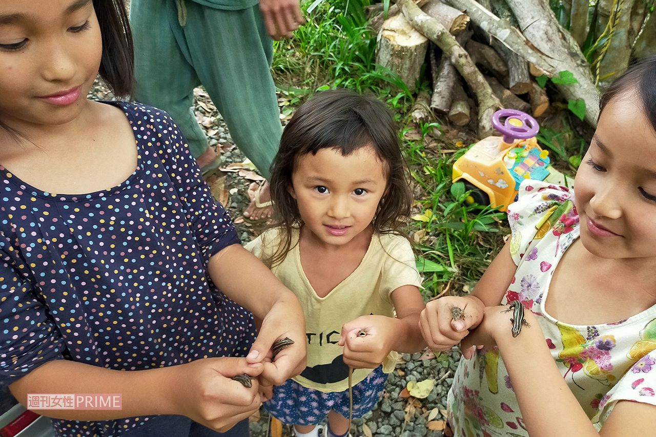 松岡俊介は家族でトカゲを飼育している