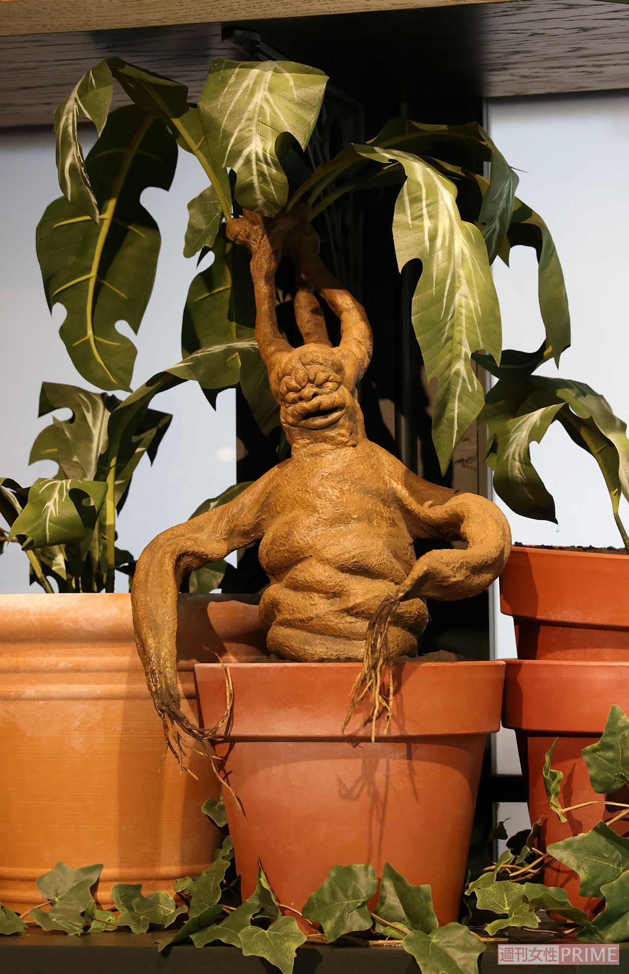 カフェ内には『ハリー・ポッターと秘密の部屋』に出てきたマンドラゴラも。引っこ抜かないように（撮影／吉岡竜紀）