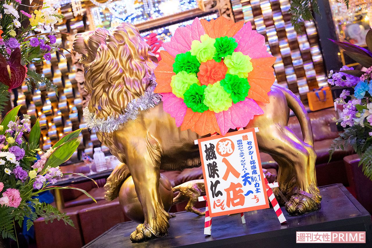 城咲仁、期間限定でホストに復帰　撮影／矢島泰輔