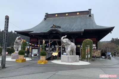 【バレンタインジャンボ宝くじ】億万長者を輩出する、日本一の開運寺に聞いた「爆当てアクション」