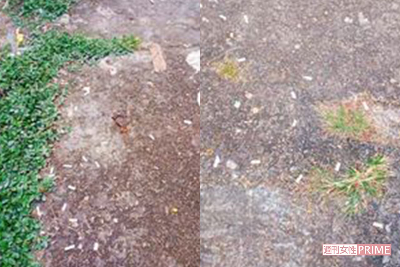 どこの街でもダウンタウンでは、歩きタバコをしている人がいるという。そのためか道には吸い殻が（ブラジリア）